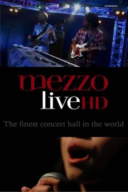 VA - Jazz Intermezzo Vol.4 (2013) poster