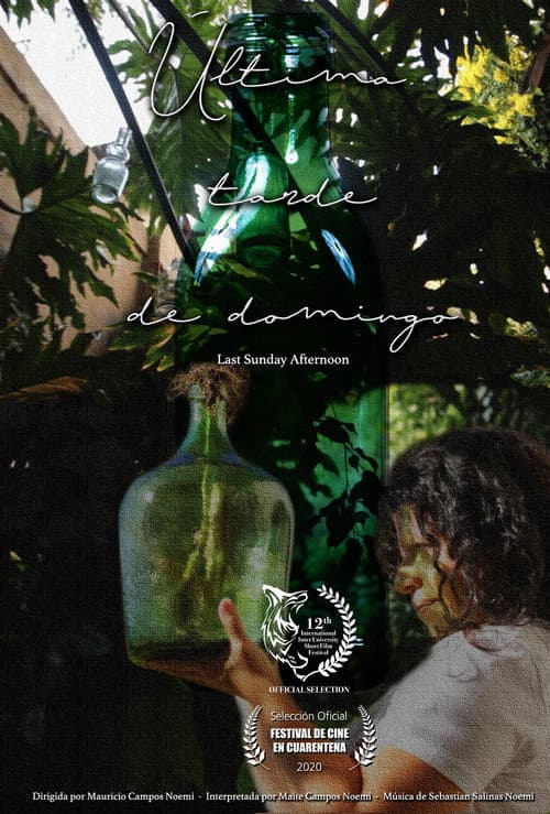 Última tarde de domingo (2020) poster