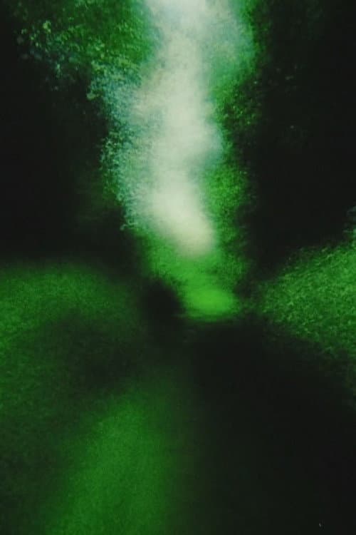 Brouillard #12 (2013) poster