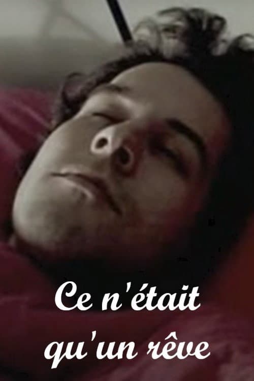 Ce n'était qu'un rêve (2004) poster