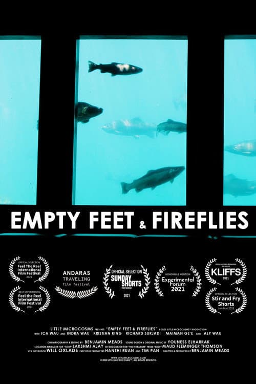 Empty Feet & Fireflies (2021) poster