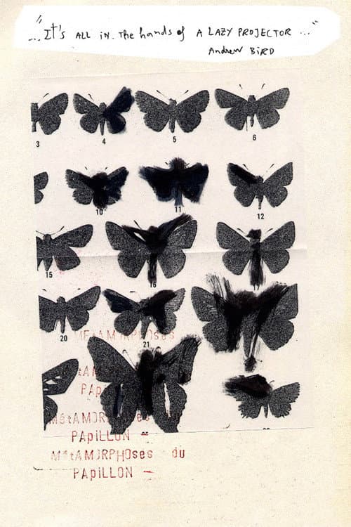 Métamorphoses du Papillon (2014) poster