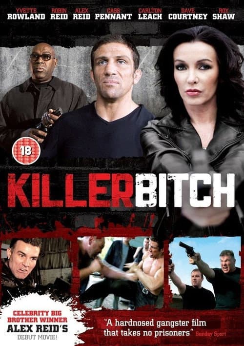 Killer Bitch (2010) poster
