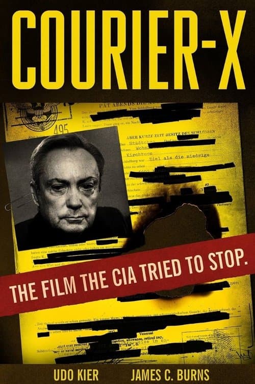 Courier X (2016) poster