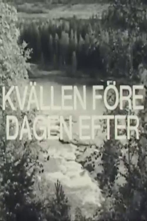 Kvällen före dagen efter (1980) poster