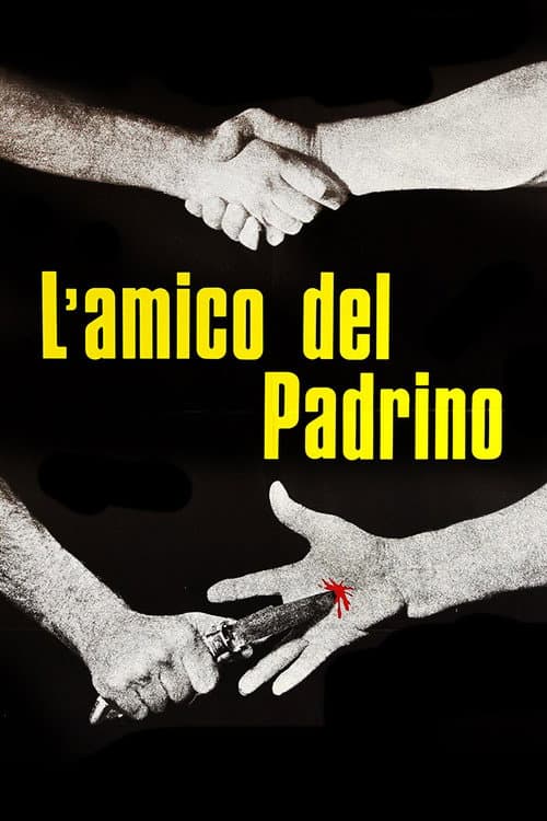 L'amico del padrino (1972) poster