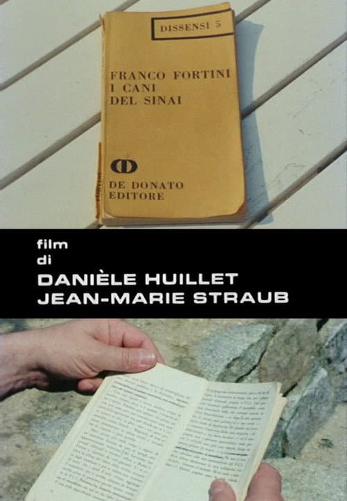Fortini/Cani (1977) poster