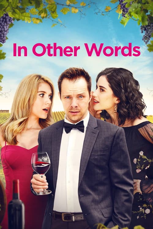 In Other Words (2020) poster