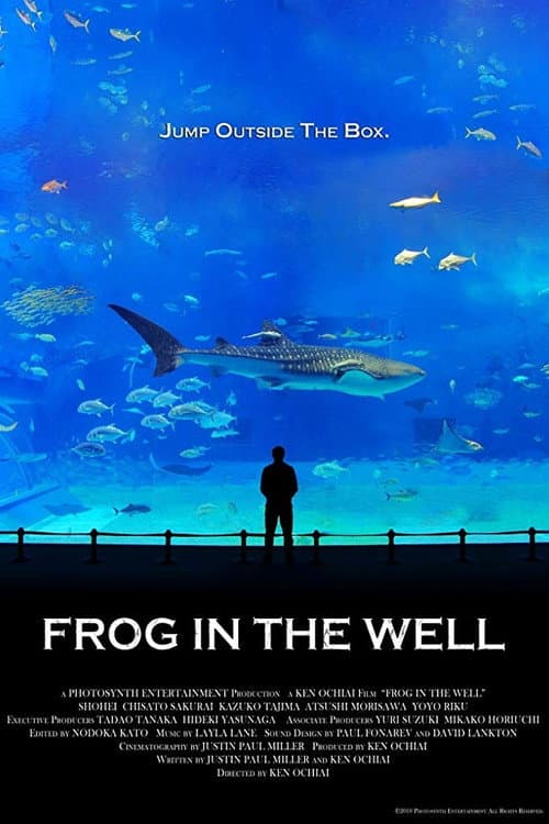 Frog in the Well (2010) poster