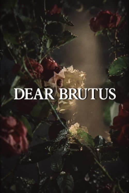Dear Brutus (1981) poster