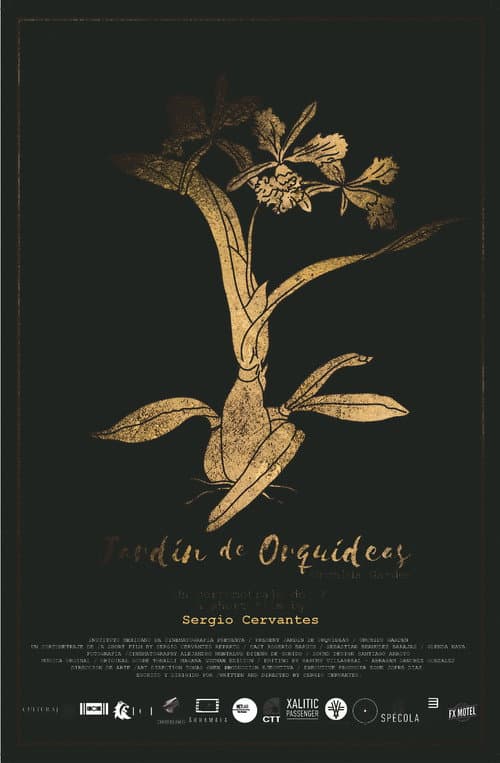Jardín de orquídeas (2019) poster
