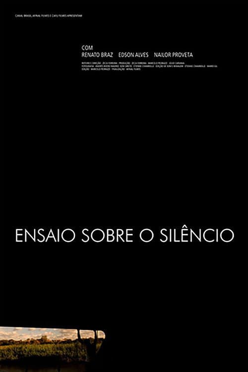 Ensaio Sobre o Silêncio (2013) poster