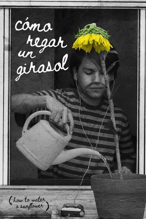 Cómo regar un girasol (2019) poster
