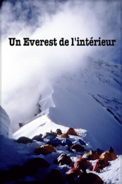 Un Everest de l'intérieur (2001) poster