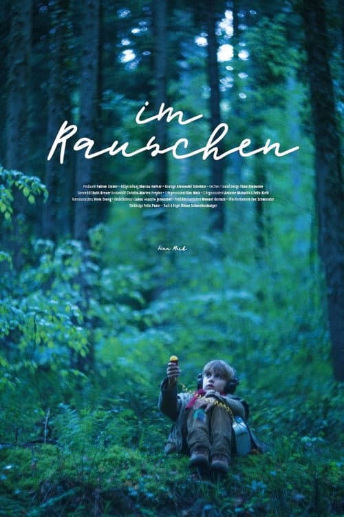 Im Rauschen (2019) poster