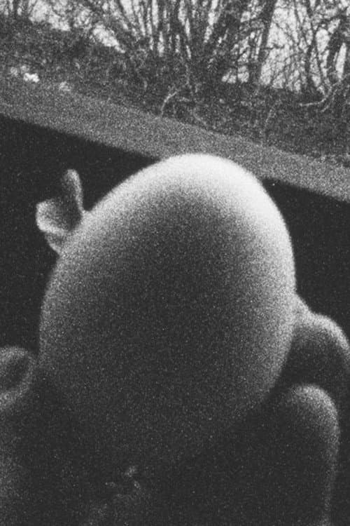 13 Eggs (2022) poster