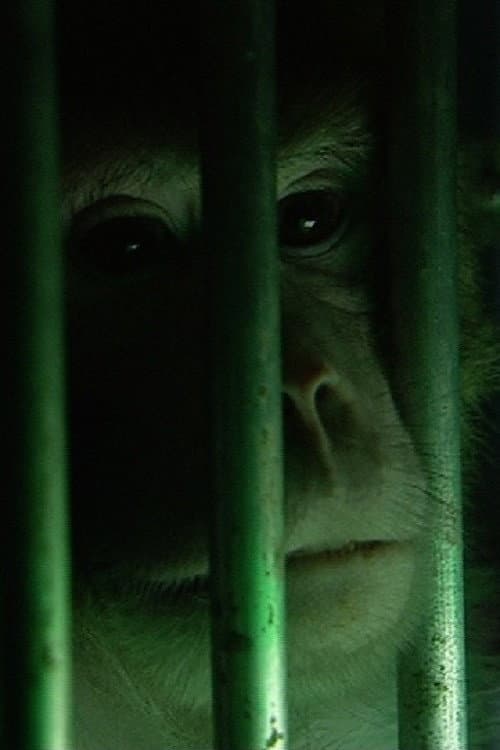 Monkeys, Rats and Me (2006) poster