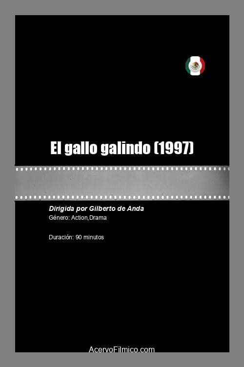 El gallo galindo (1997) poster