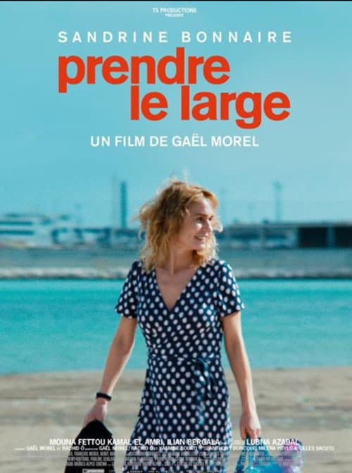 Prendre le large (2017) poster