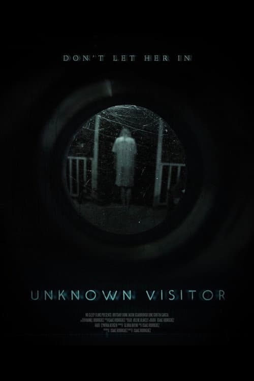 Unknown Visitor (2019) poster