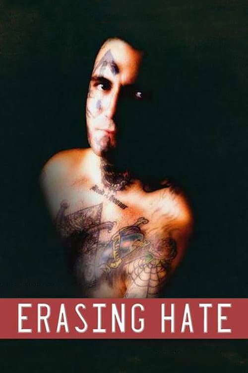 Erasing Hate (2011) poster