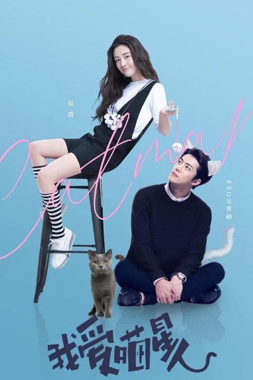 我爱喵星人 (2021) poster