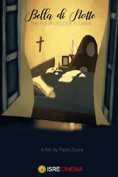 Bella di Notte (2013) poster