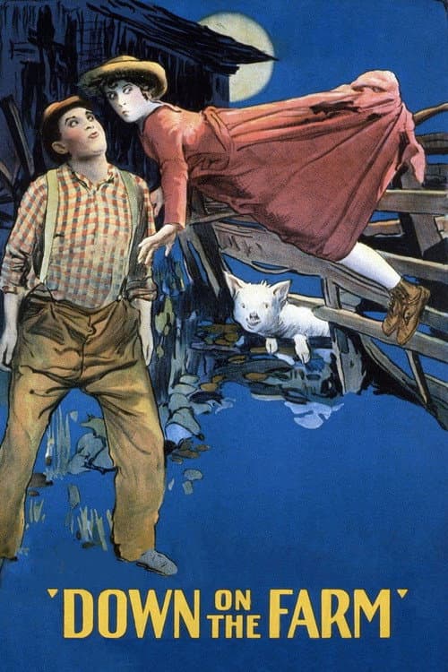 Down on the Farm (1920) poster