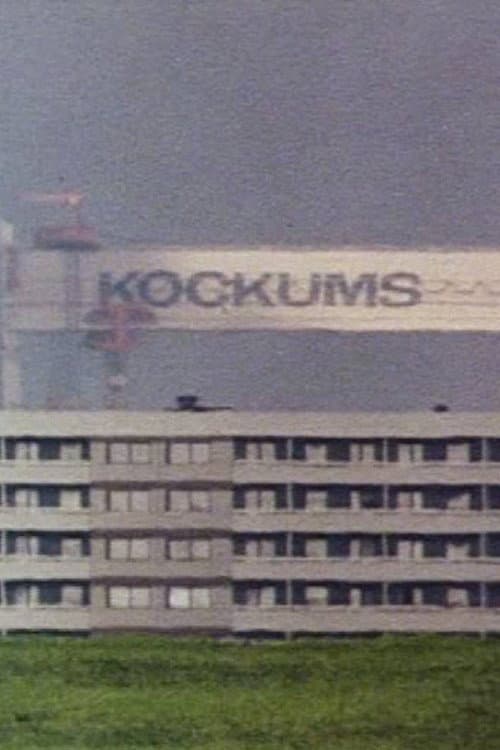 Nålsögat: En film om möjligheter (1975) poster