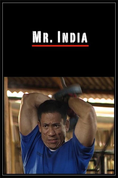 Mr. India (2009) poster
