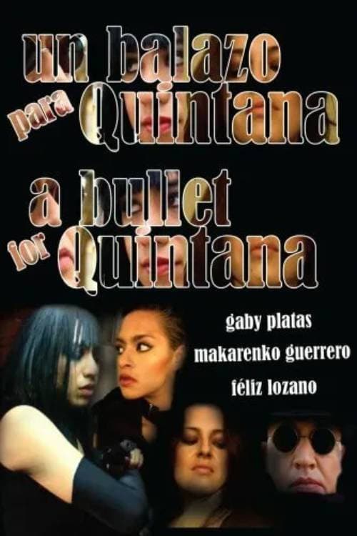 Un balazo para Quintana (2008) poster