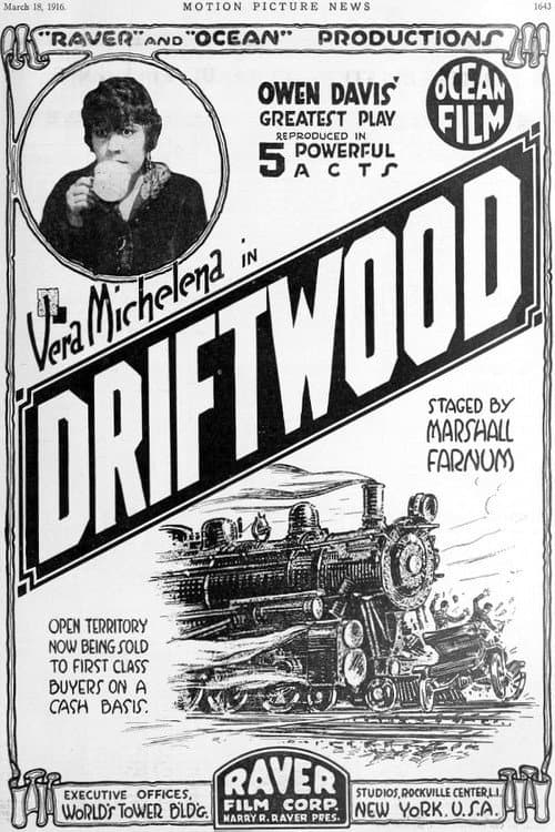 Driftwood (1916) poster