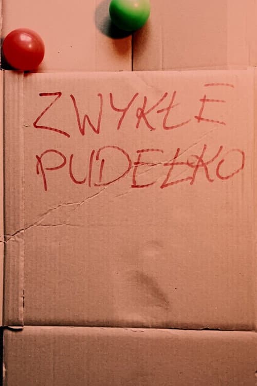 ZWYKŁE PUDEŁKO (2026) poster