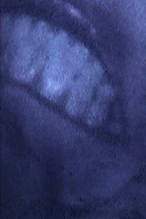 NOTHING GOSE (2000) poster