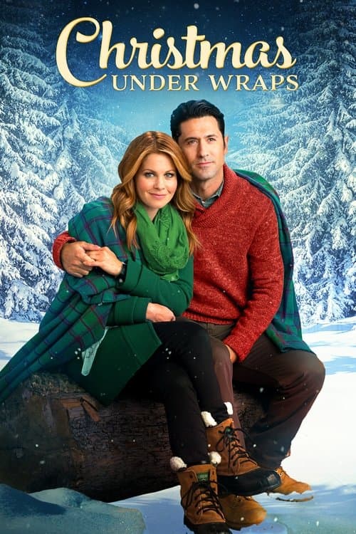 Christmas Under Wraps (2014) poster