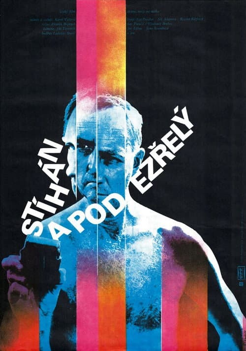 Stíhán a podezřelý (1979) poster
