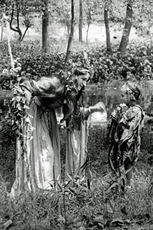 A Midsummer Night's Dream (1909) poster