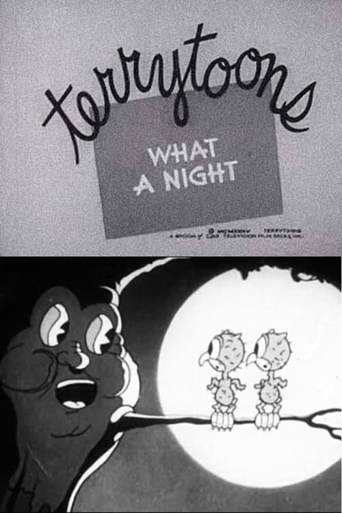 What a Night (1935) poster