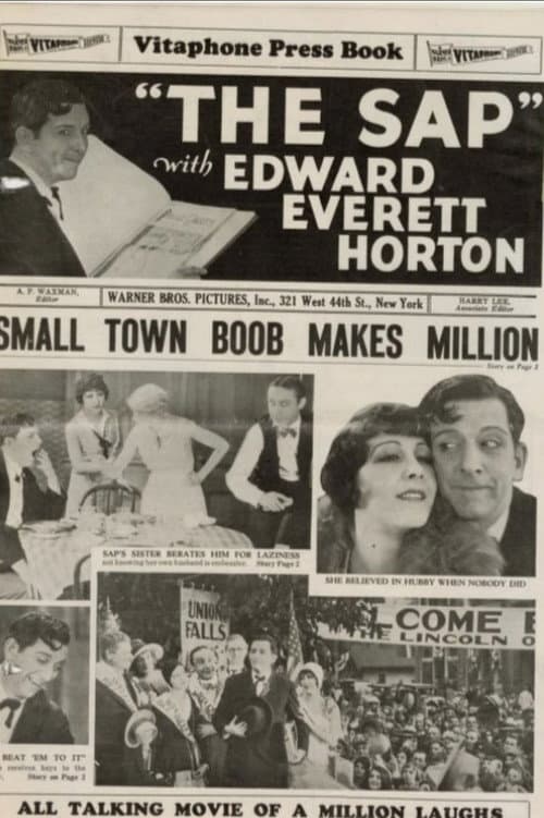 The Sap (1929) poster