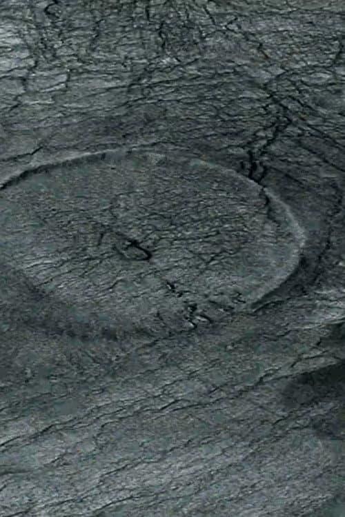 Whirlpool (2020) poster