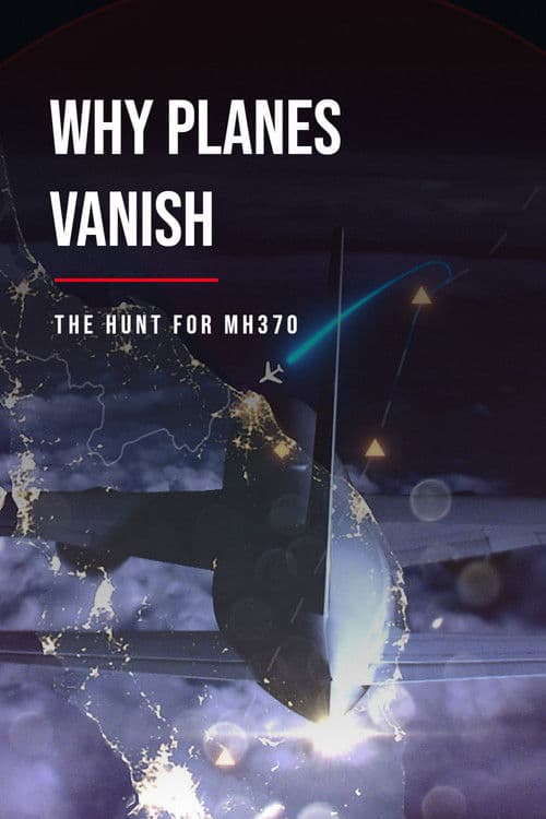 Why Planes Vanish (2024) poster