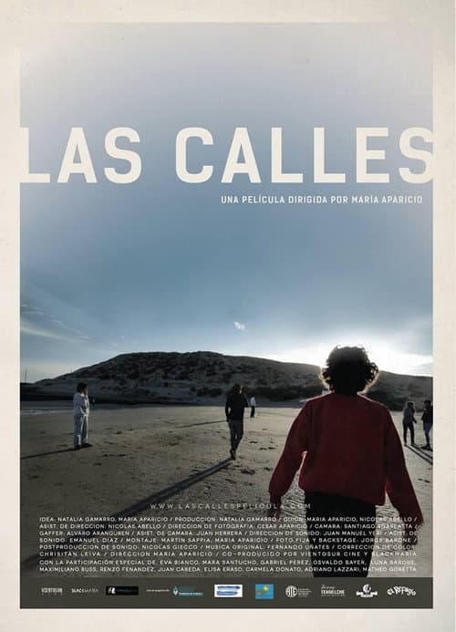 Las calles (2016) poster