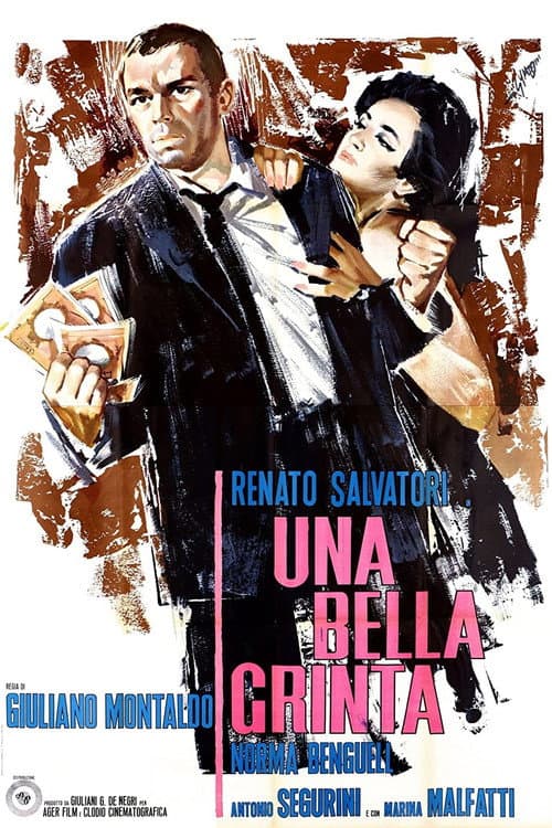 Una bella grinta (1965) poster