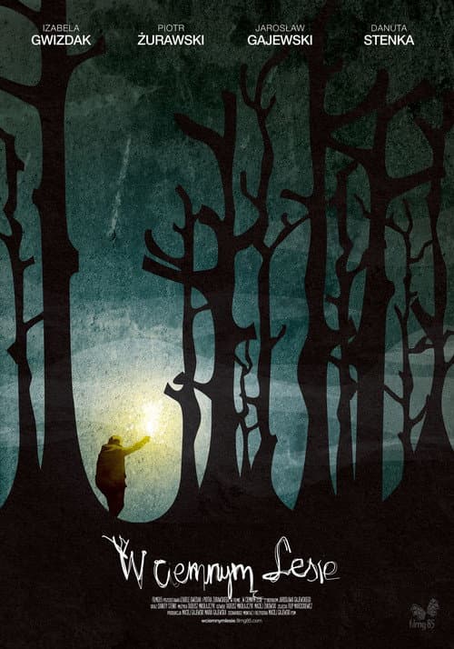 W ciemnym lesie (2013) poster