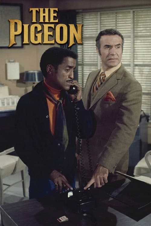 The Pigeon (1969) poster