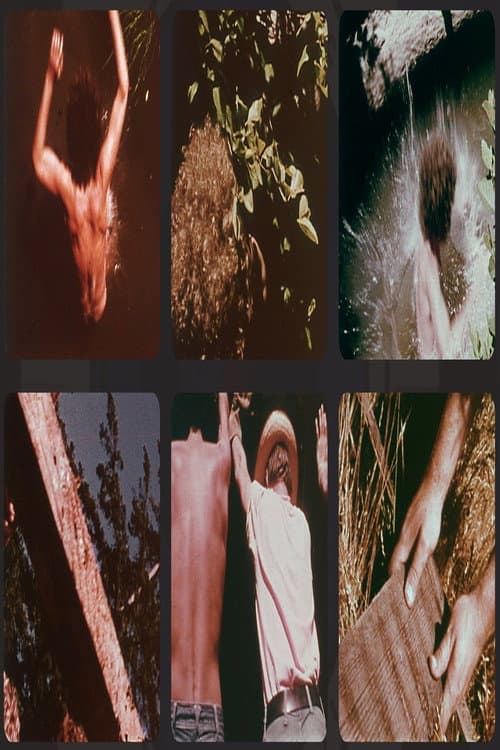 Greenfield (1977) poster