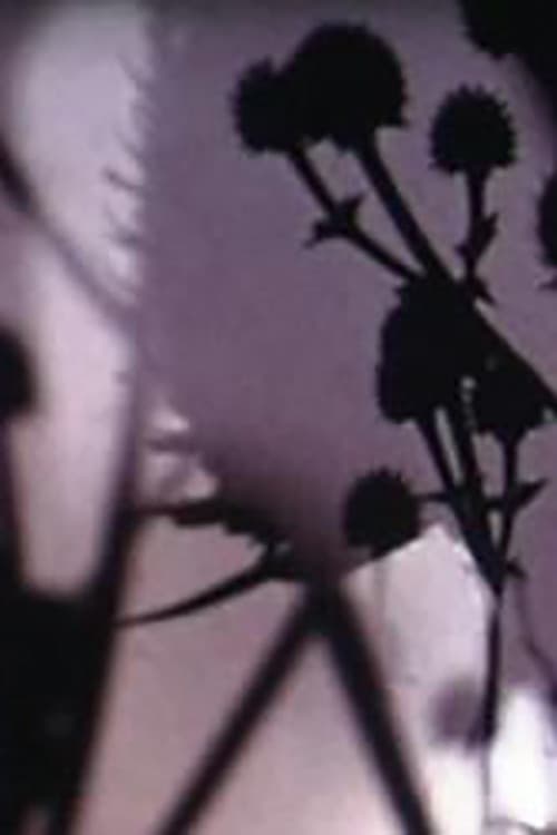 The Lights & Perfections (2006) poster