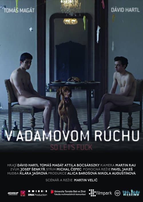 V Adamovom rúchu (2015) poster