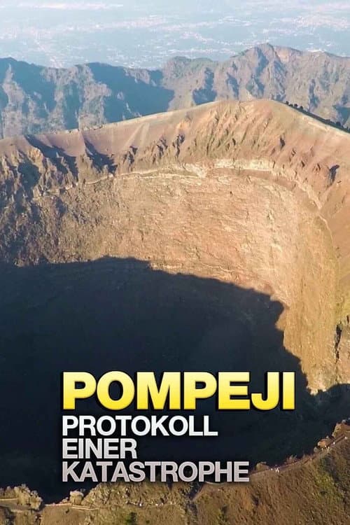 Le récit d’une catastrophe: Pompéi (2020) poster