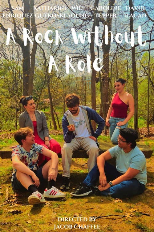 A Rock Without a Role (2026) poster